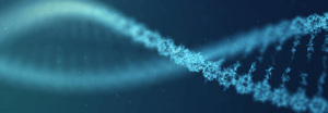 A close up of a strand of DNA